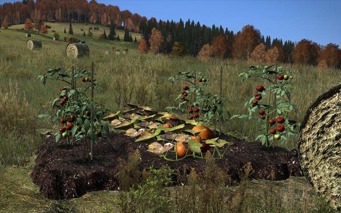 ����������� �����.