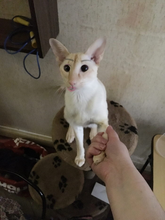 ����-���