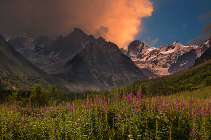 Sunrise in the upper reaches of the Chegem - My, Chegem gorge, dawn, Summer, Blooming Sally