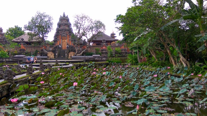 Lotus Temple - Longpost, beauty, Nature, Bali, Temple, Lotus, My