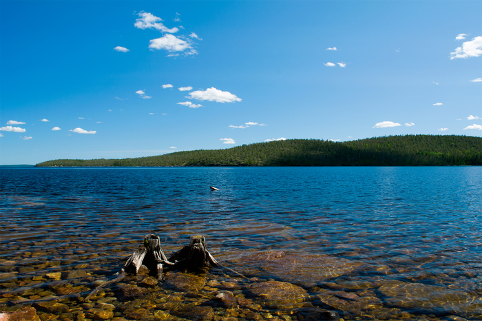 Pyaozero (Kuma Reservoir), North Karelia - My, Nature, Карелия, Lake, Summer, July, Beginning photographer, Nikon, The photo, Longpost
