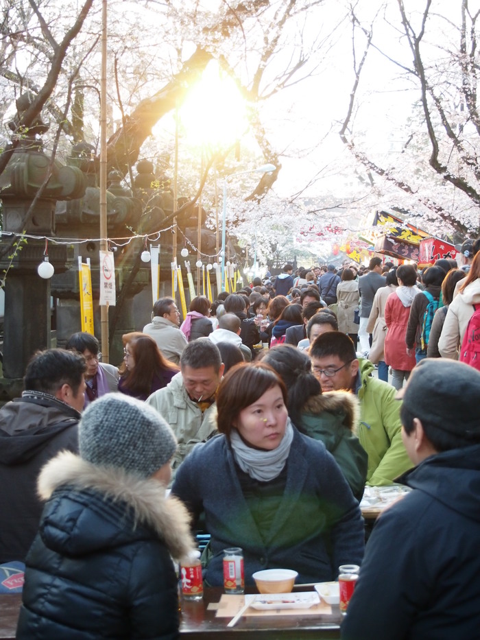 Yuzakura - My, Japan, Sakura, Asakusa, Travels, Longpost