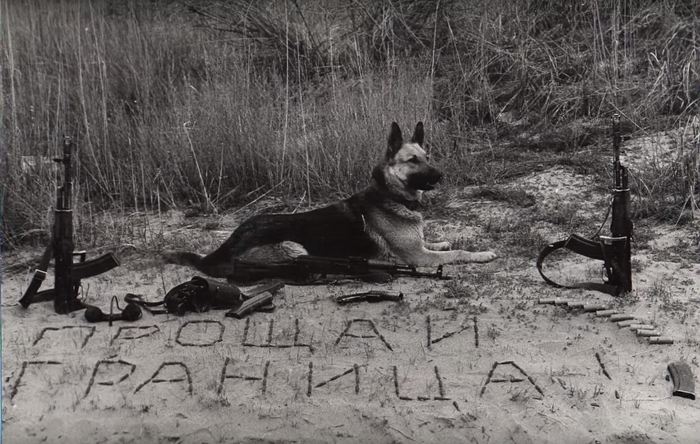 Happy Holidays! - Border guard day, Border guards, Dog