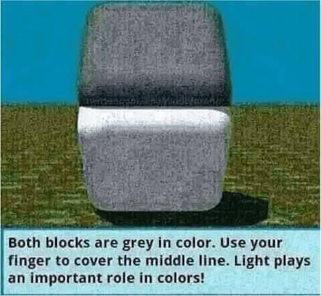 In fact, both blocks are the same gray color. - Illusion, Optical illusions, A game of shadows