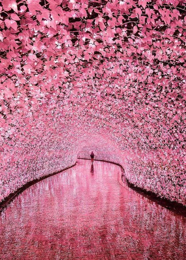 Illuminated tunnel in Japan - Mie, Japan, Tunnel, Pink, beauty