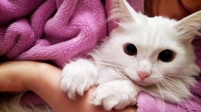 После разлуки