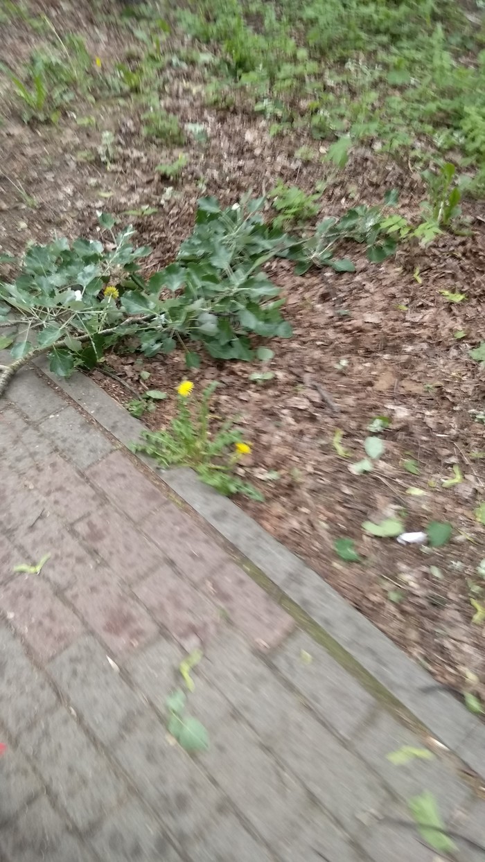      , , , , 