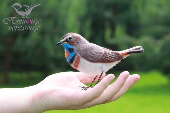 Felting* Bluethroat. - My, Needlework, Needlework without process, Birds, Ornithology, Handmade, Video, Longpost