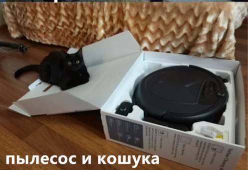 Cat advertisement - My, A vacuum cleaner, Aliexpress sale