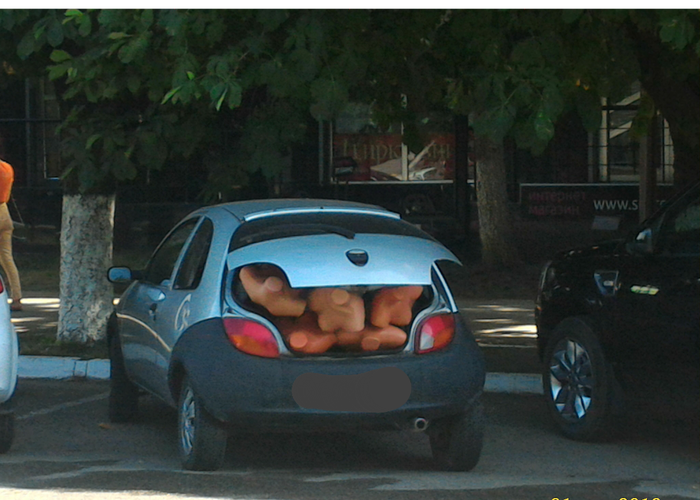 ������ ������� ��� �����.