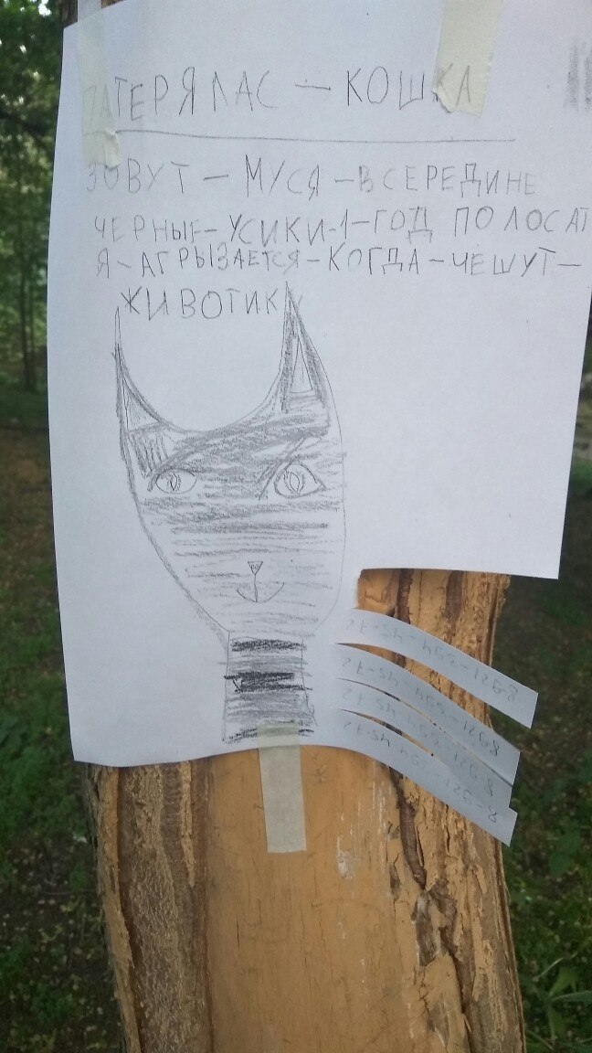 � ��� ����� ����� ����� ����