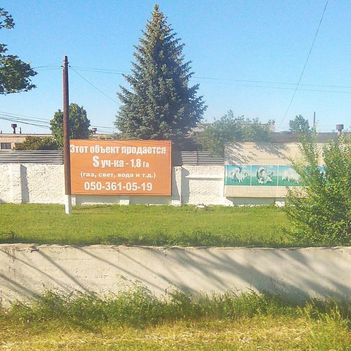 Гении маркетинга