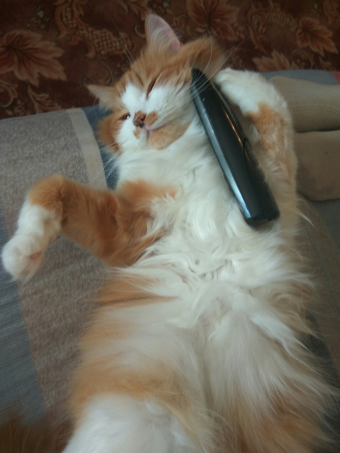 ���������� ����������� �� �����, ��� ������ ����� ����� ��� ���