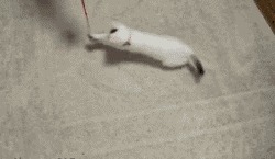      4  ,   , , , 