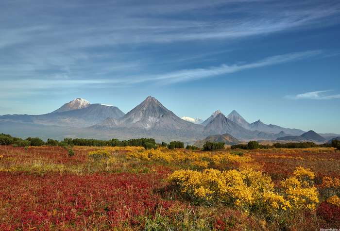 Blueberry and bilberry fields - My, Kamchatka, Blueberry, The mountains, Autumn, Sky, Cirrus clouds