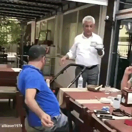 Чайку