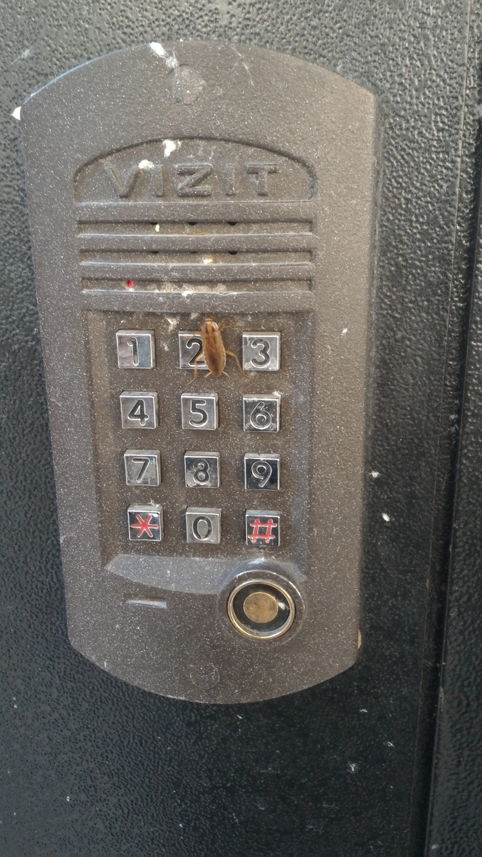 When you really want to go to the entrance - Intercom, Cockroaches