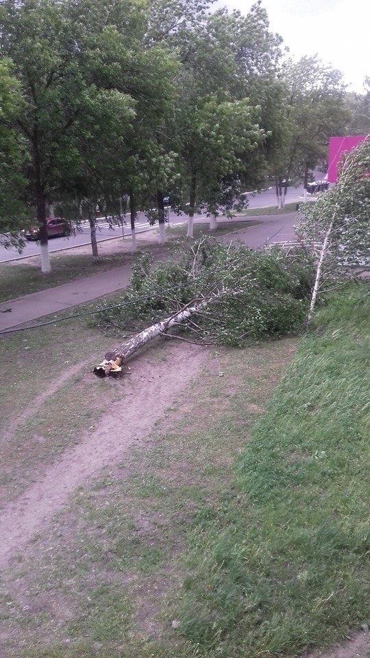 Ураган в Саранске - Ураган, Саранск, Плохая погода, Длиннопост