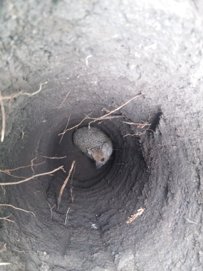 �������� �������� �����. ����, ��������, ����������, ���