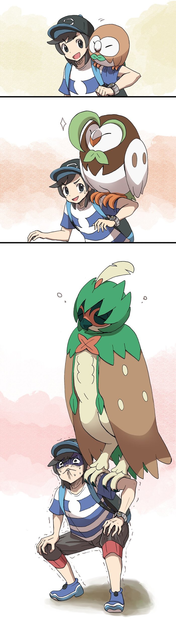 Evolution of the rolet - Comics, Pokemon, Evolution, Rowlet, , , Longpost