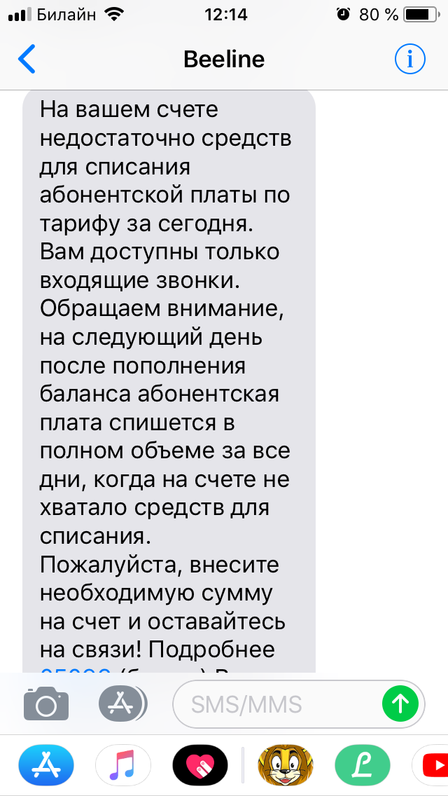 Ну и какого? - Билайн, Сотовые операторы, Очередное, Пакет Яровой