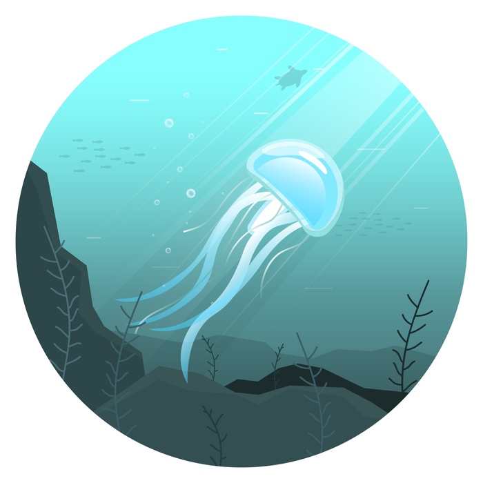 Jellyfish - My, Jellyfish, Ocean, Nature, Vector graphics, Drawing