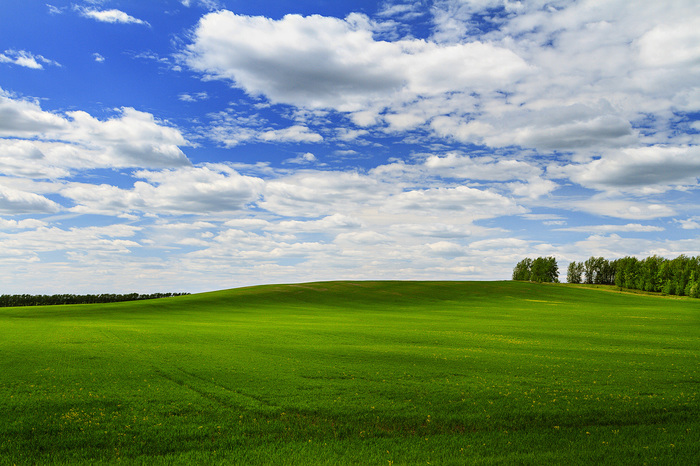 Somewhere between Chuvashia and Mordovia - My, Landscape, Field, Forest, Sky, The hills