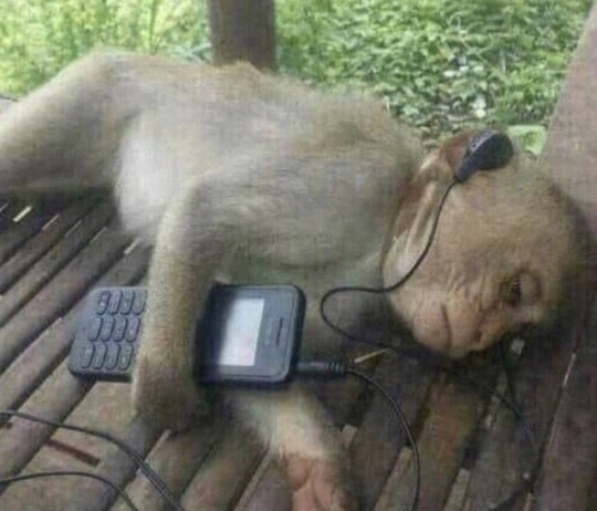 На расслабоне