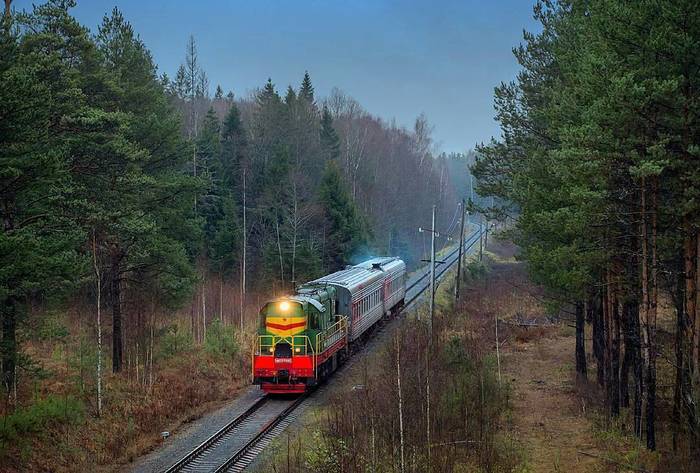 Северное лето. - Маневровый тепловоз, Пригородный поезд, РЖД, Электричка