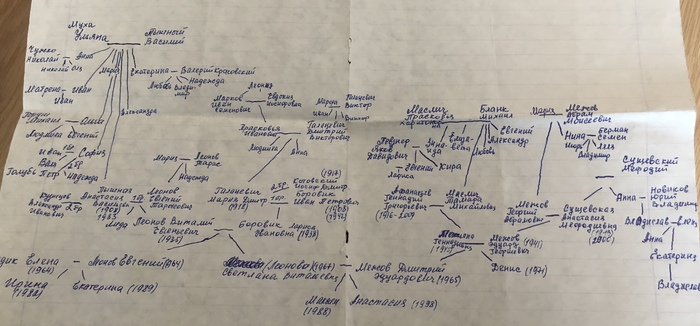 Family tree - My, Family, Genealogy, Genealogical tree