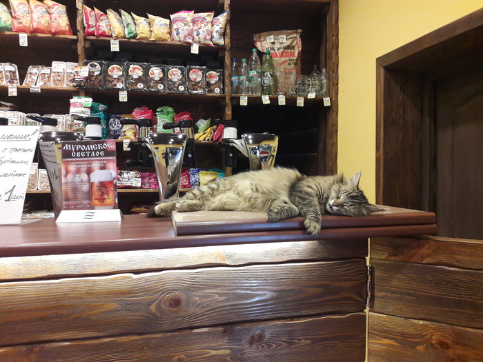 Владелец пивнухи