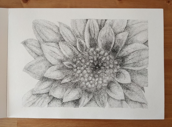 Dotwork. Четвёртый рисунок.