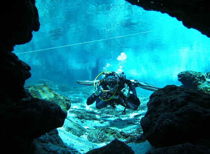 A colleague... - My, Diving, Cenotes, Mexico