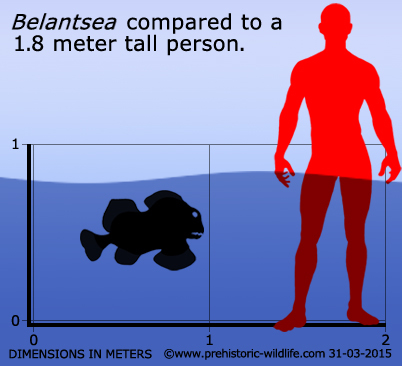 Belantsea - an extinct relative of sharks - Longpost, Paleontology, Interesting, Informative, A fish, Shark