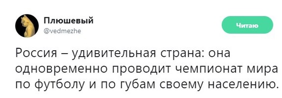 Нас уже не удивишь - Цитаты, Из сети, Скриншот, Политика, Twitter, Футбол