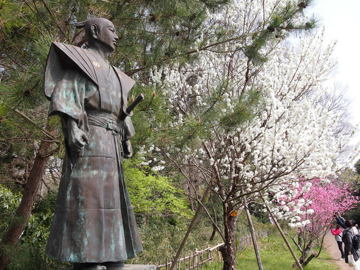 Сакура - город самураев Япония, Путешествия, Длиннопост