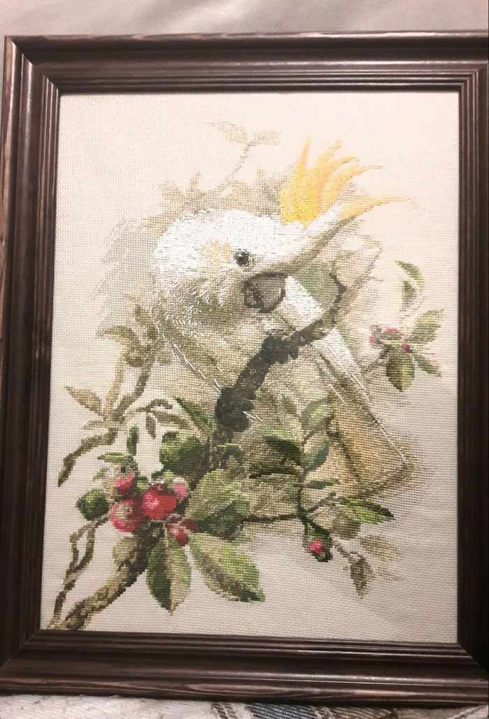 Everyone has their own cockroaches [5] - My, Embroidery, Cross-stitch, Hobby, Enthusiasm, Needlework without process, Cockatoo