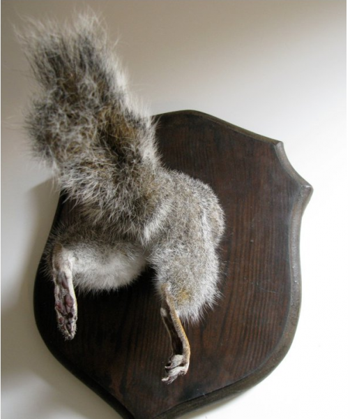 Crappy taxidermy #2 - , The horrors of taxidermy, Scarecrow, Taxidermy, Longpost