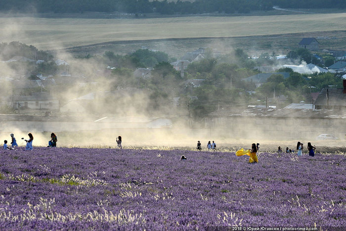 Crimea, lavender and sunset - Crimea, Lavender, , Longpost