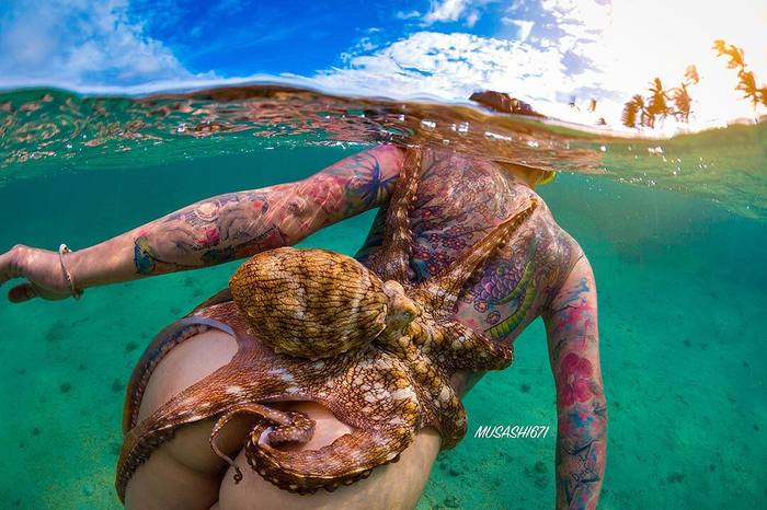 Incredible adventures of the octopus - NSFW, Girls, Sea, Ocean, Octopus, Erotic, Beautiful girl, Nature, Longpost