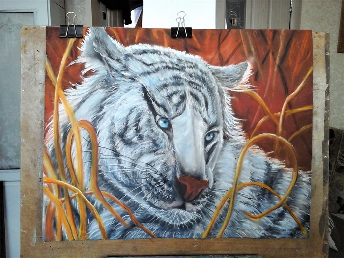 White tiger - My, Tiger, Dry pastel, Painting, Graphics, Pastel, Animals, Big cats