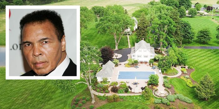 Muhammad Ali's Michigan home is up for sale - My, Mohammed Ali, America, USA, Sputnikoff, Interesting, Video, Longpost