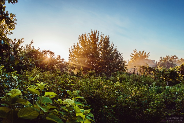 Sunset in the country - My, The photo, Kazakhstan, Uralsk, Nikon, Dacha, Landscape, Sunset