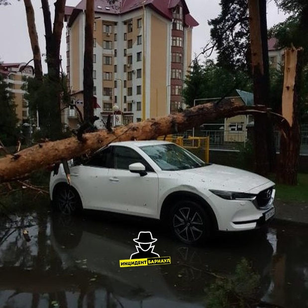 A hurricane swept through Barnaul - Barnaul, Hurricane, Video, Longpost