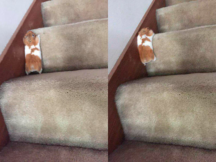 Миссия выполнима