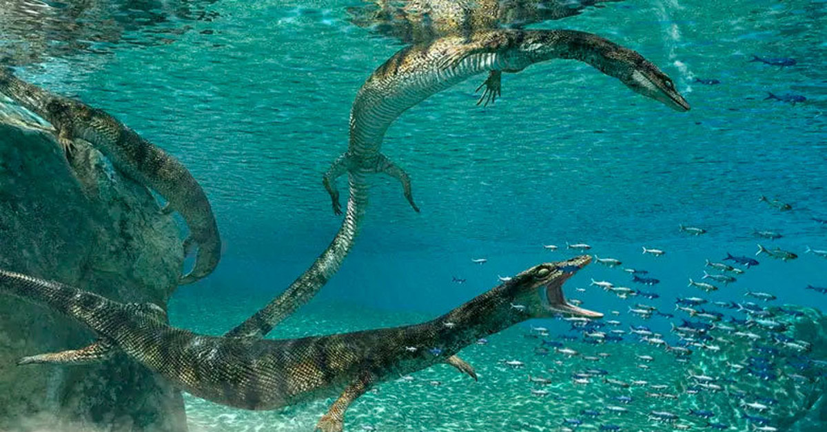 Рептилии живущие в воде. Мозазавры мелового периода. Древние морские рептилии. Древние морские ящеры. Водные рептилии.