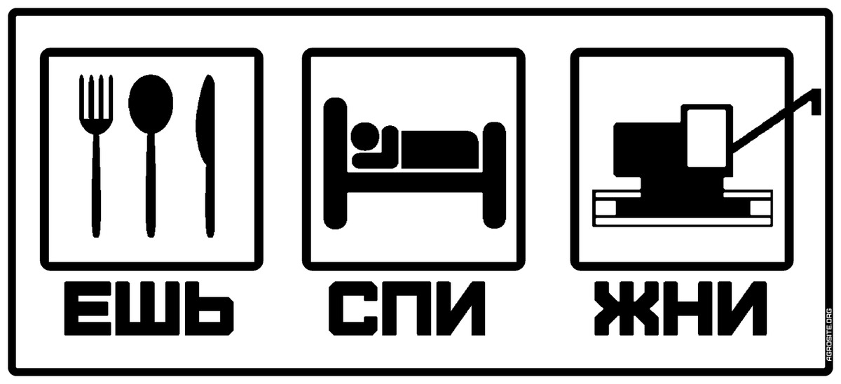 узбекистане ешь спи картинки каждому городу, особенности