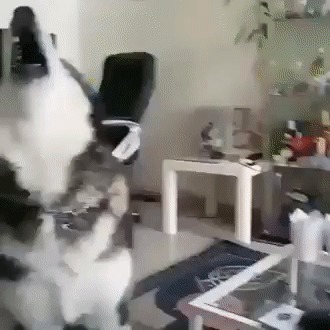 Ну даааааааааай вкусняшку!