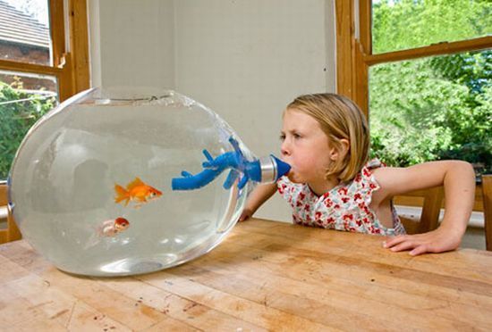 Atypical aquariums - Unusual, Aquarium, , The photo, Humor, Longpost, Just in case