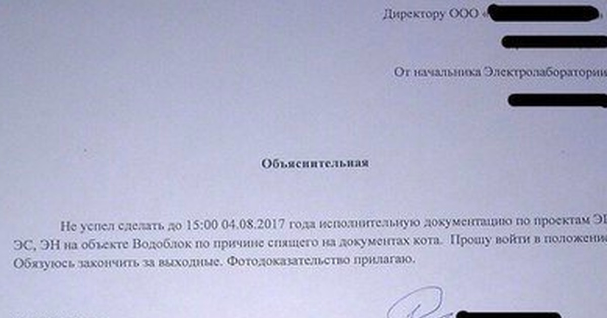 Объяснительная приставам образец